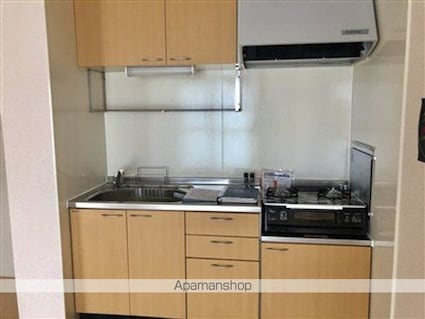 Ｔｈｉｃｋ　Ｇａｒｄｅｎ[2LDK/59.58m2]のキッチン