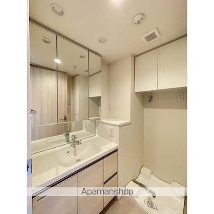 ルーウェ東大泉[1LDK/43.46m2]の洗面所