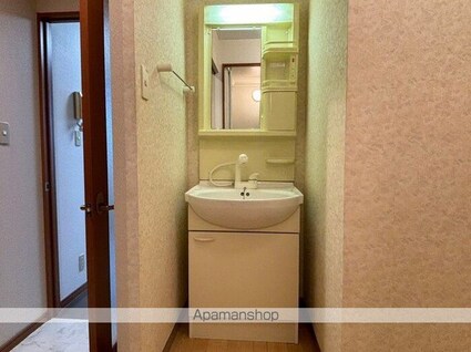 グラン・マ・アネックス[1K/29.44m2]の洗面所