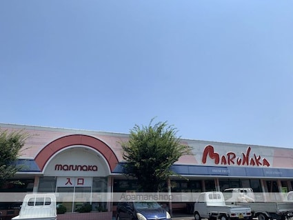 レオネクストアルファ[1K/31.69m2]の周辺3