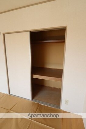 スカイハウス[2DK/55.2m2]の収納