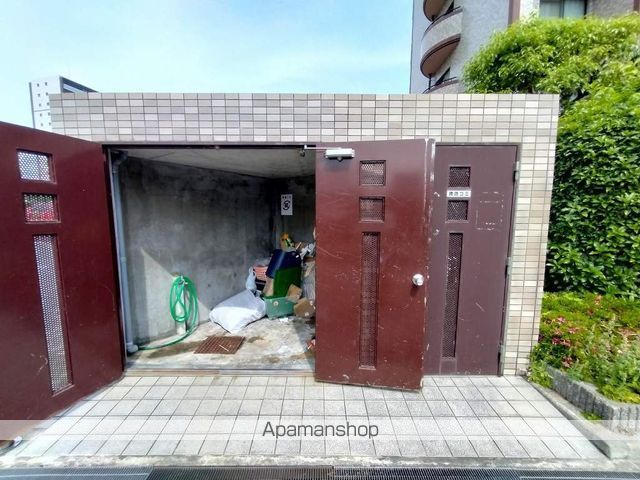 メルヴェーユコマドリのその他写真