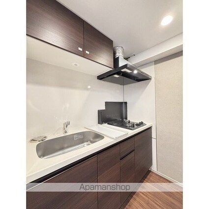 ザ・グラヴィティ新宿[2LDK/42.61m2]のキッチン