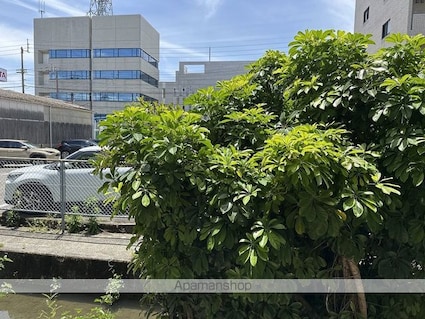 高知県高知市北本町３丁目[1DK/28m2]の眺望