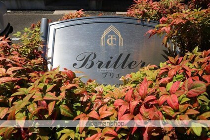 ブリエ[1K/31.02m2]の外観5