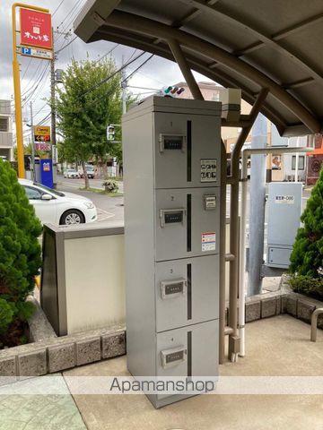 カメリアのその他写真