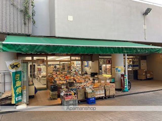 コンフォリア・リヴ西大島SOUTHの周辺写真