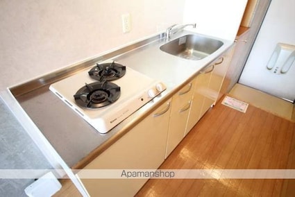 アルフォレスト森山[1K/22.2m2]のキッチン