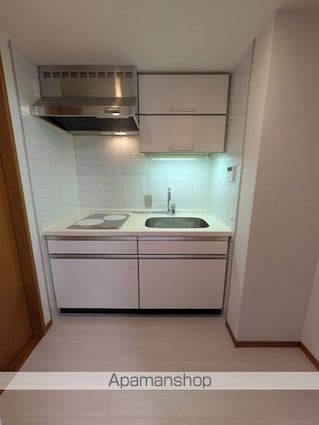 パークフラッツ渋谷代官山[1DK/35.23m2]のキッチン