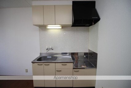 ボーヌ・ヴィラージュ[1LDK/45.25m2]のキッチン