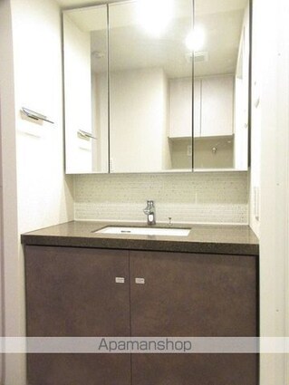 ザ・パークハビオ高円寺レジデンス[1LDK/41.5m2]の洗面所