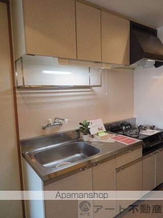 ブラウンハイム土居田[1K/24.8m2]のキッチン