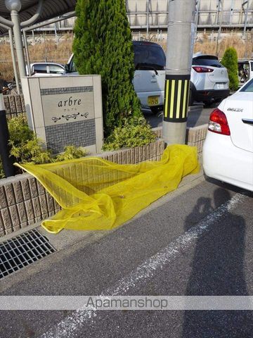 アルブルのその他写真