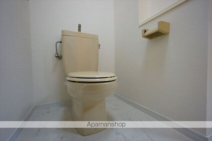 ドール丸の内[1K/21.12m2]のトイレ