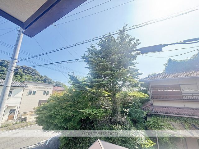 ペニーロイヤルのその他写真