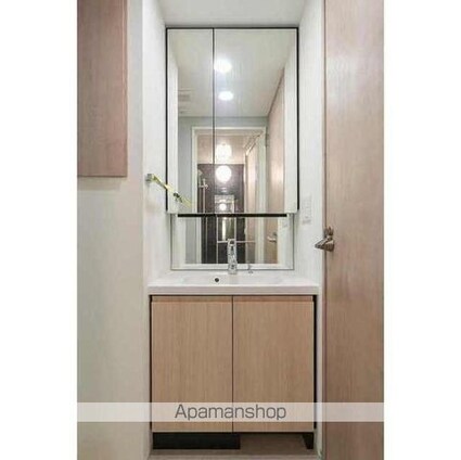 グランカーサ蒲田ウエスト[1LDK/39.4m2]の洗面所