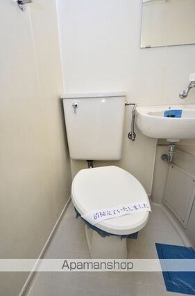 メゾン・ド・ロアイヤル[1R/13.78m2]のトイレ