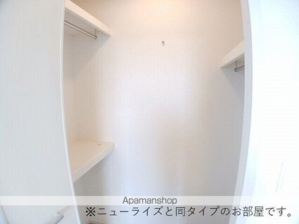 プラシード・アロッジオⅣ[1LDK/47.41m2]の収納