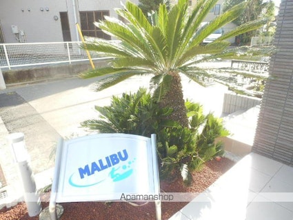 ＭＡＬＩＢＵ[1LDK/38.25m2]のエントランス2