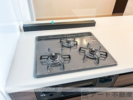 ヴィステリオ　プレミア[3LDK/81.56m2]の内装3