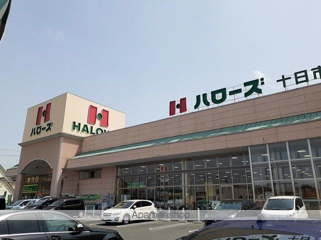ベッラ ヴィタの周辺写真