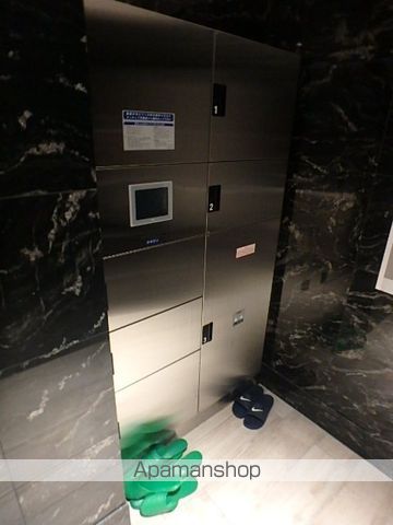SーRESIDENCE江坂ALEGRIAのその他写真