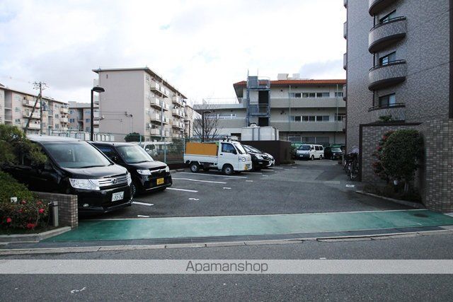 メルヴェーユコマドリのその他写真