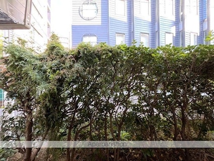 東京都文京区本郷６丁目[1R/14.46m2]の眺望