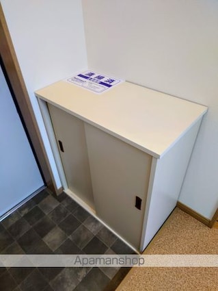 滋賀県彦根市川瀬馬場町[1K/33.12m2]の内装4