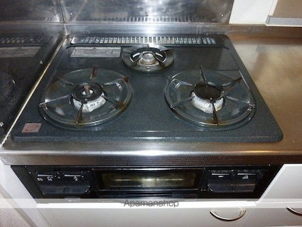 レオパレスアイ[2DK/49.2m2]のキッチン