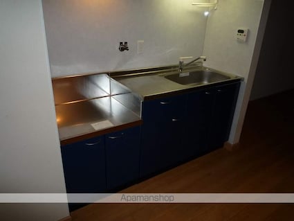 ジャルダンドゥトゥルーヌスゥル[2LDK/49.89m2]のキッチン