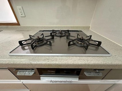 アルファライフ玉藻公園[2LDK/56.91m2]の内装3