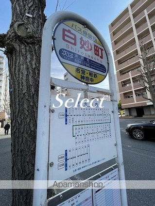 神奈川県横浜市南区高根町１丁目[1K/22.71m2]の周辺5