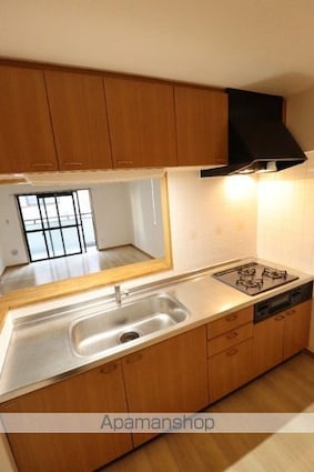 東京都あきる野市秋川５丁目[2LDK/60.24m2]のキッチン