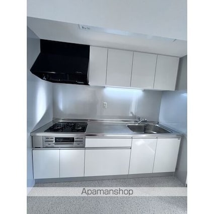 グリーンヒルズ目白台[3LDK/90.61m2]のキッチン