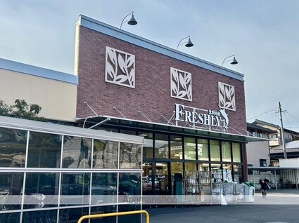 レオネクストＣｒｉｂ銀座[1K/34.88m2]の周辺10