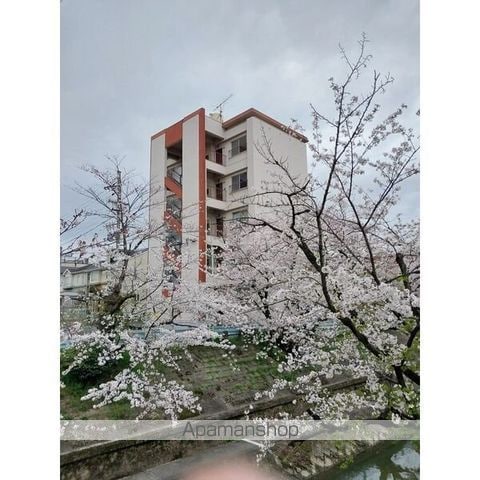 メゾンさくらの外観写真