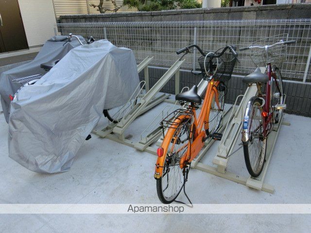 リブリ・レイのその他写真
