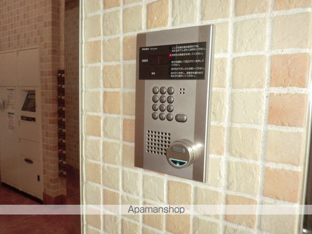 サヴォイエイペックスのその他写真