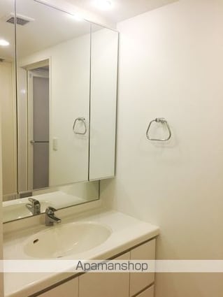 カスタリアお茶の水[1LDK/63.13m2]の洗面所