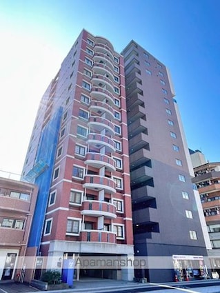 家納喜本川館[1R/28.81m2]の外観2