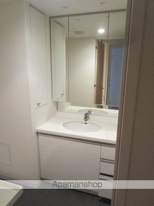 東京都千代田区神田三崎町３丁目[1LDK/42.2m2]の洗面所