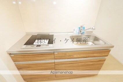ケイマイティ　Ⅱ[1K/31.01m2]のキッチン