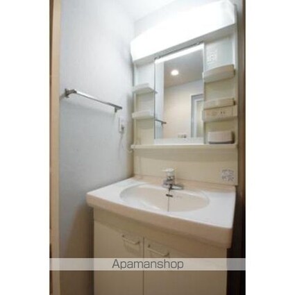 ＴＩＥＲＲＡ石神井公園[1K/30.8m2]の洗面所