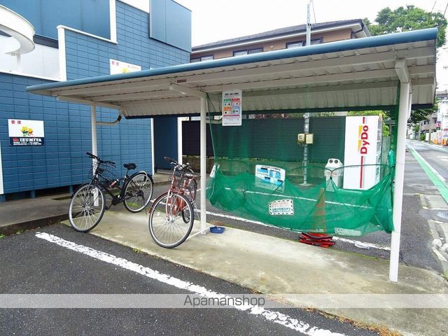 サンフラワーのその他写真