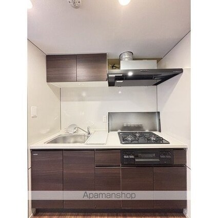 ザ・グラヴィティ新宿[2LDK/44.51m2]のキッチン