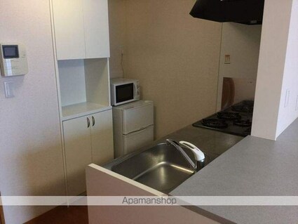 レオパレスリカヴィトスの丘[1K/31.05m2]のキッチン1