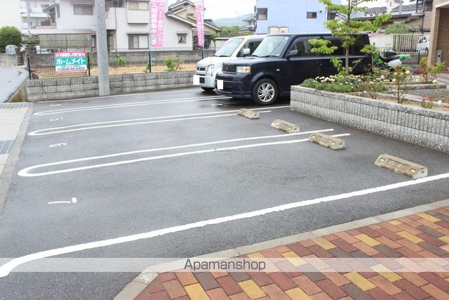 プルメリアのその他写真