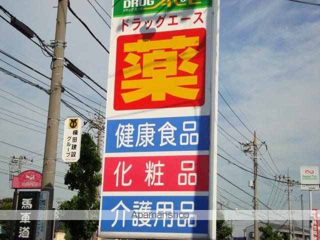 ラナンキュラスの周辺写真