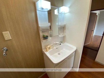 ハイツアベニールＡ・Ｂ棟[2DK/46.37m2]の洗面所